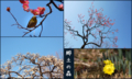 20130228213757