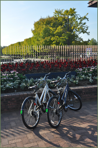 f:id:non704:20131028180725j:image:w200:left