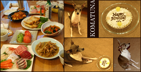 f:id:non704:20131117205228j:image:w500