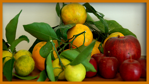 f:id:non704:20131121124549j:image