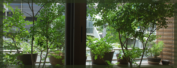 f:id:non704:20140512143213j:image:w580 f:id:non704:20140512143213j:image:w580