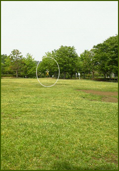 f:id:non704:20140602185056j:image:w200:left