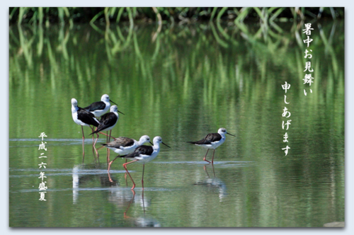 f:id:non704:20140805062522j:image:w450