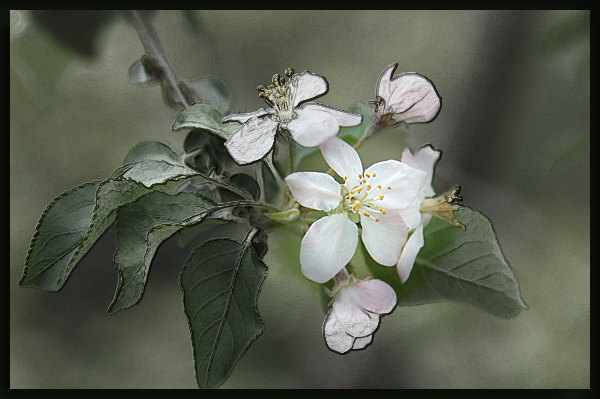 f:id:non704:20150426084831j:image:w450 f:id:non704:20150426084831j:image:w450