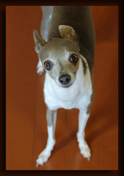 f:id:non704:20150815202314j:image:w300
