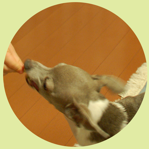 f:id:non704:20151005103837j:image:w300:left