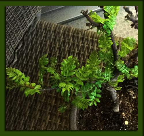f:id:non704:20160401215224j:image:w280:left f:id:non704:20160401215224j:image:w280:left