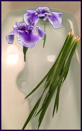 f:id:non704:20160505112041j:image:w220:left