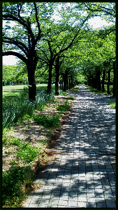 f:id:non704:20160505112042j:image:w220:left