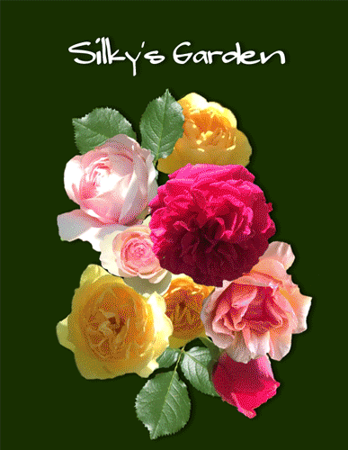 f:id:non704:20160513154104g:image:w320:left