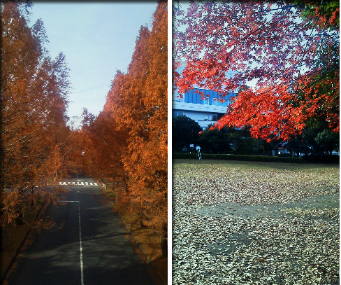 f:id:non704:20161204124231p:image:w280 f:id:non704:20161204124231p:image:w280