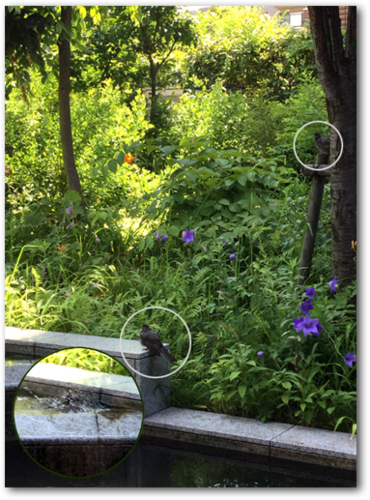 f:id:non704:20170715110457p:image:w250:left f:id:non704:20170715110457p:image:w250:left