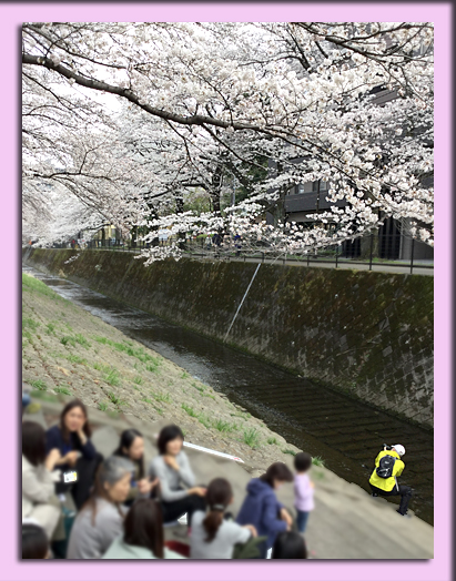 f:id:non704:20180326182558j:image:w240:left
