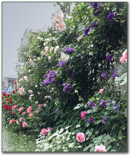 f:id:non704:20180519134930p:image:w280:left f:id:non704:20180519134930p:image:w280:left