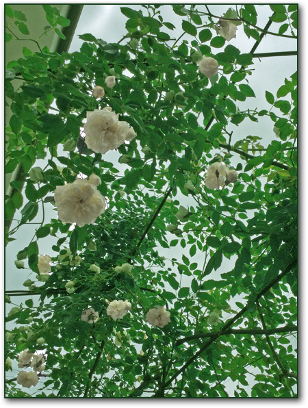f:id:non704:20180519134934p:image:w280:left f:id:non704:20180519134934p:image:w280:left