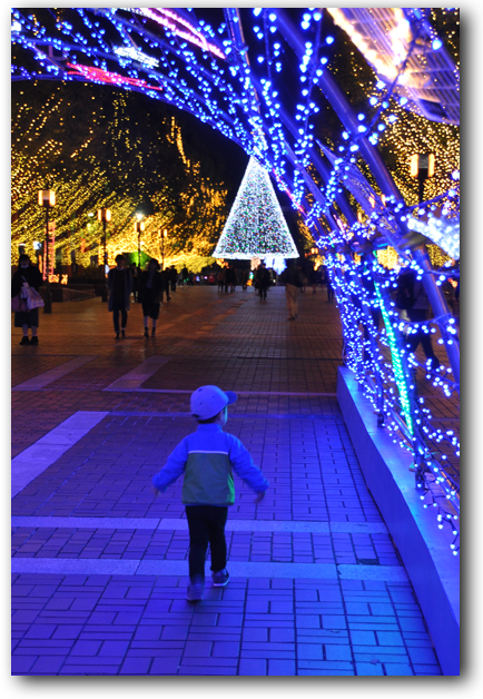 f:id:non704:20181122163151p:plain