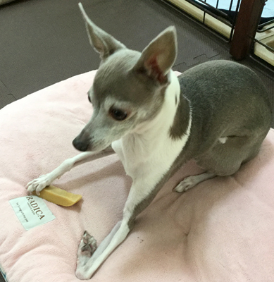 f:id:non704:20190328185249j:plain