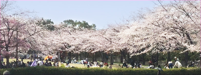 f:id:non704:20190407151324j:plain