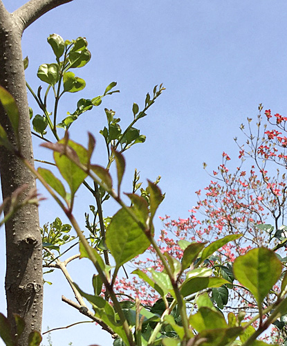 f:id:non704:20190420153748j:plain f:id:non704:20190420153748j:plain