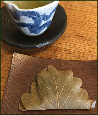 f:id:non704:20190503151629j:plain
