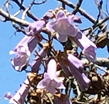 f:id:non704:20190508221220j:plain