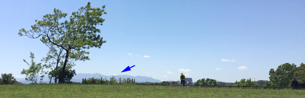 f:id:non704:20190508222207j:plain