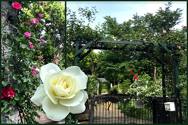 f:id:non704:20190513193355j:plain