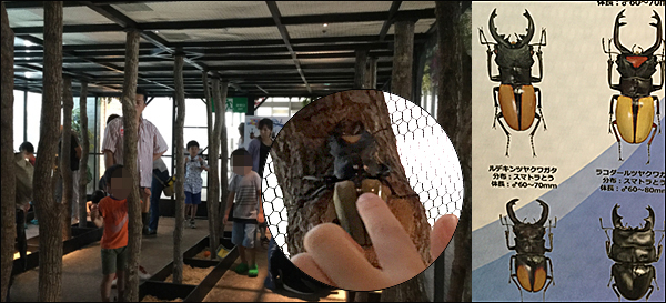 f:id:non704:20190810121625j:plain
