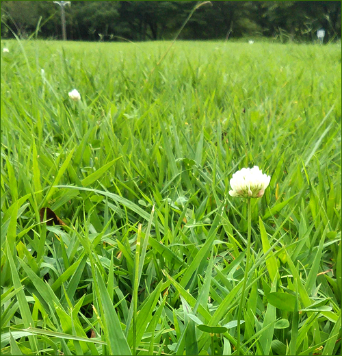 f:id:non704:20190827162314j:plain f:id:non704:20190827162314j:plain