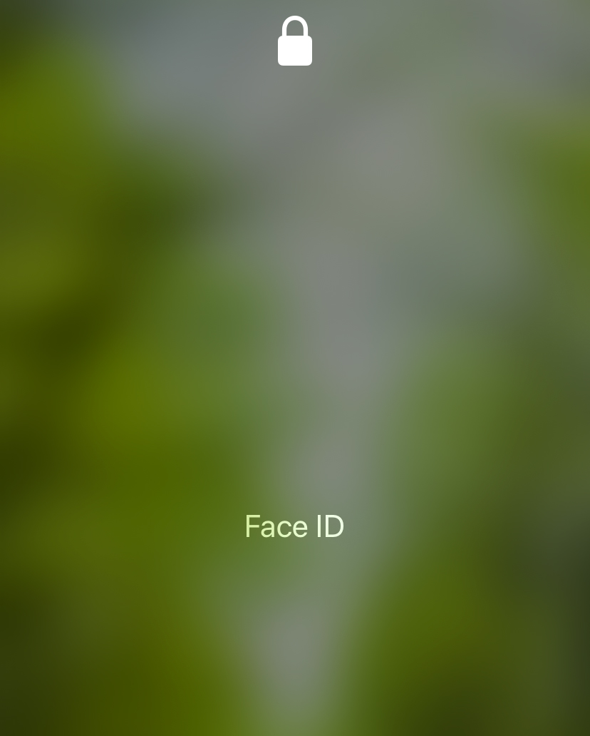 f:id:non704:20200222170208j:plain f:id:non704:20200222170208j:plain