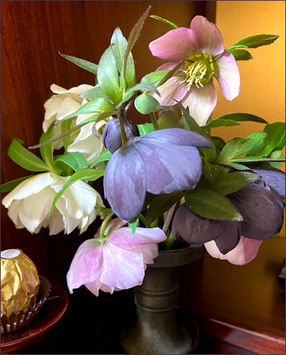 f:id:non704:20200318171459j:plain