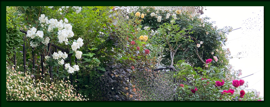 f:id:non704:20200527190022j:plain