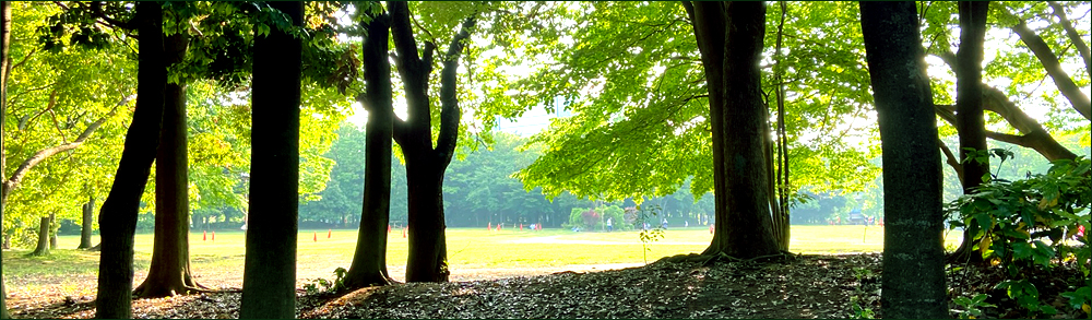 f:id:non704:20200527190949j:plain