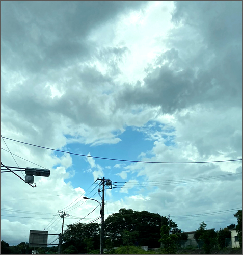 f:id:non704:20200726192832j:plain f:id:non704:20200726192832j:plain