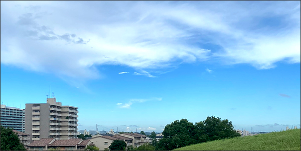 f:id:non704:20200903182251j:plain f:id:non704:20200903182251j:plain