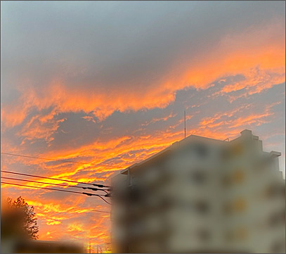 f:id:non704:20201023203454j:plain