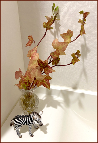 f:id:non704:20201111194449j:plain