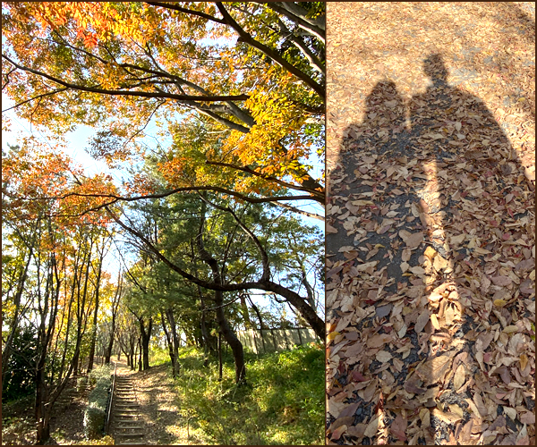 f:id:non704:20201116165259j:plain