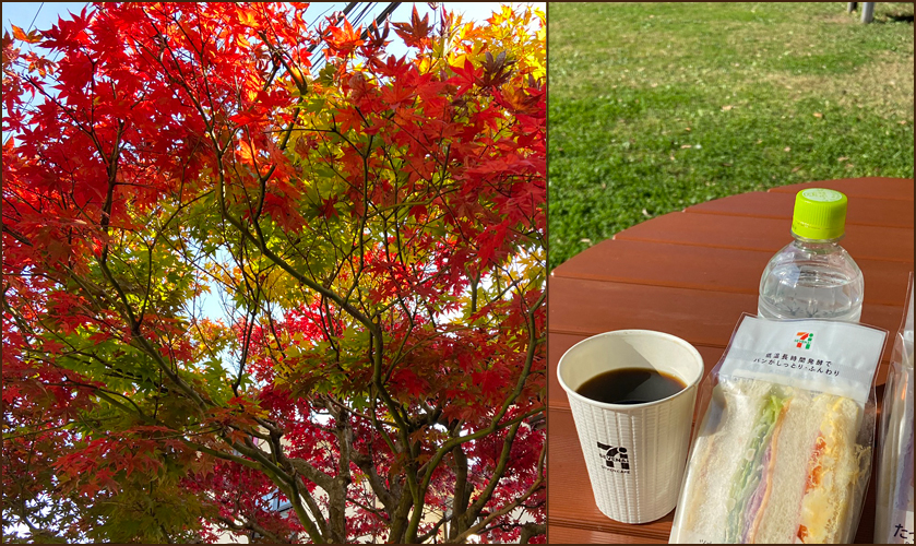 f:id:non704:20201116165602j:plain