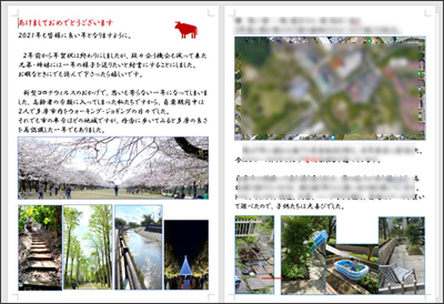 f:id:non704:20201219184730j:plain