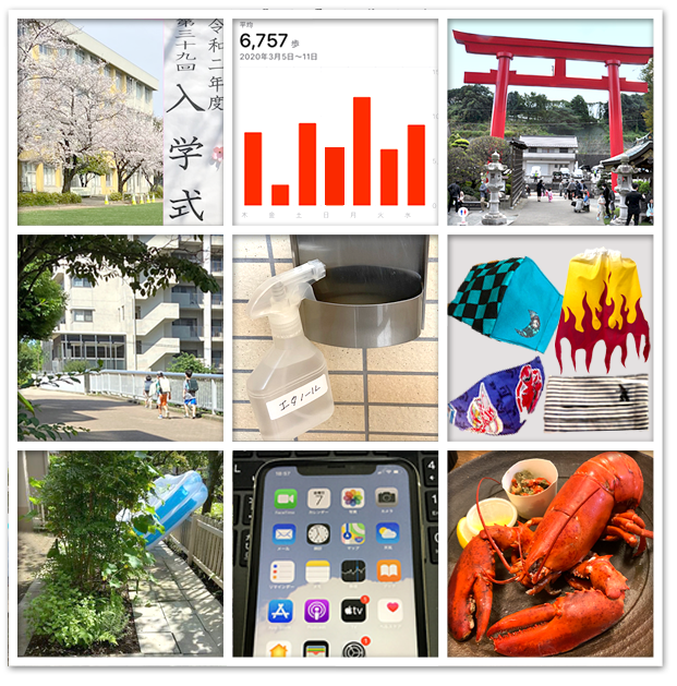 f:id:non704:20201230211543p:plain