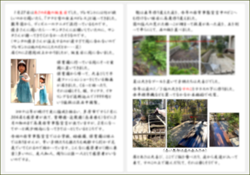f:id:non704:20210216190701j:plain