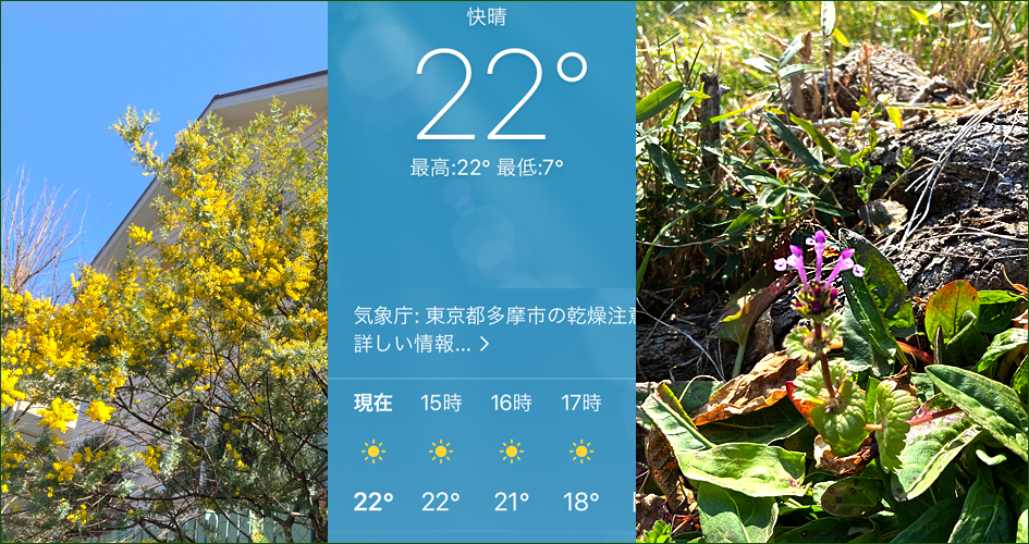 f:id:non704:20210222183944j:plain