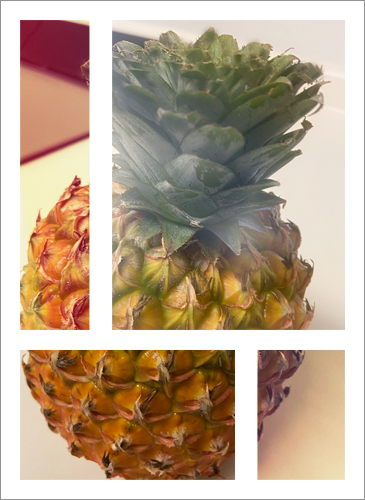 f:id:non704:20210502212056j:plain