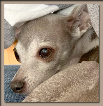 f:id:non704:20210507125740j:plain