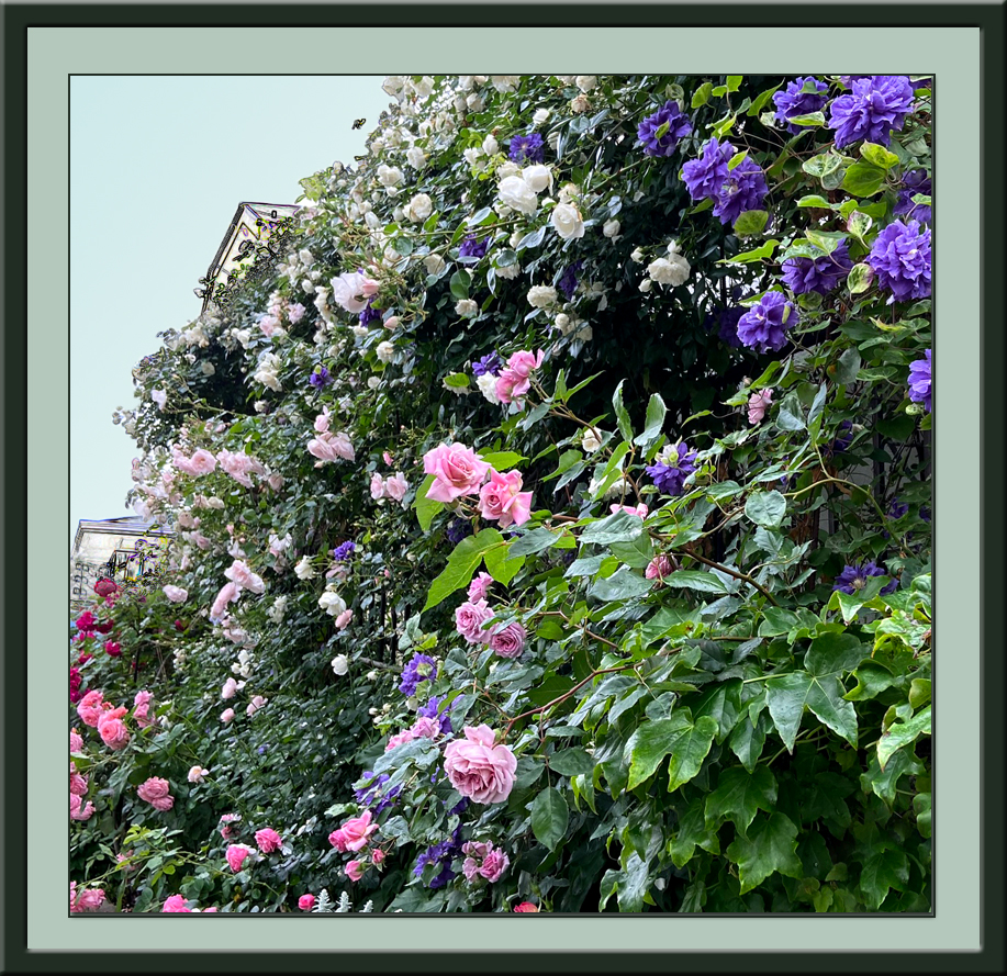 f:id:non704:20210520155842j:plain