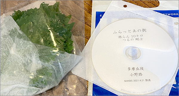 f:id:non704:20210615210509j:plain