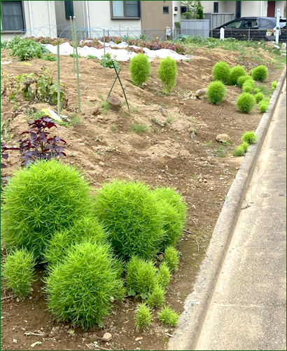 f:id:non704:20210701103439j:plain