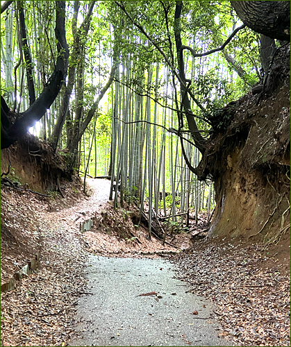 f:id:non704:20210703175457j:plain