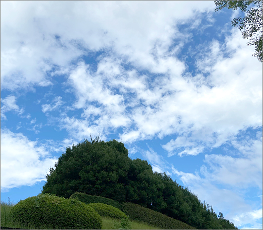 f:id:non704:20210818190110j:plain